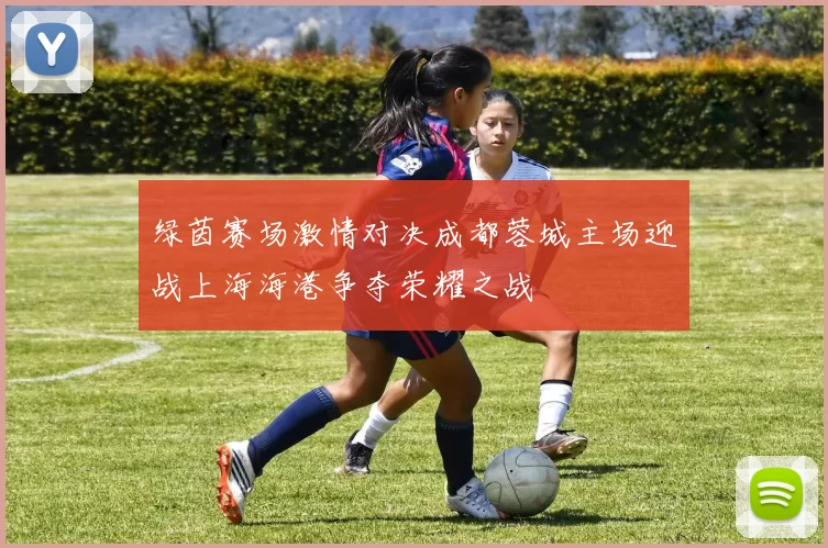 绿茵赛场激情对决成都蓉城主场迎战上海海港争夺荣耀之战