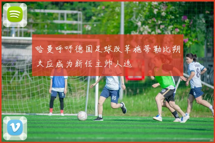 哈曼呼吁德国足球改革施蒂勒比朔夫应成为新任主帅人选